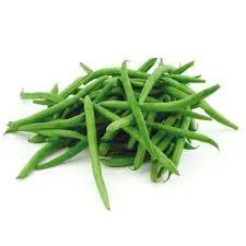 Garden Plant