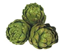 Garden Plant