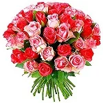 Fresh Flowers And Plants
