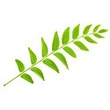 Garden Plant
