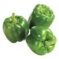 Garden Plant