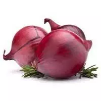 Garden Plant