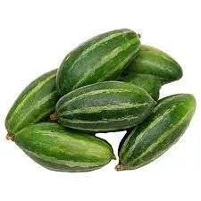 Garden Plant