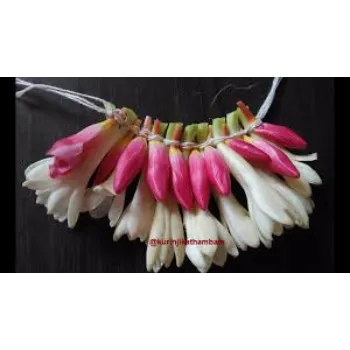Rich Arali Flowers 1-arali-9445585-84436.webp