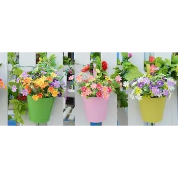 Fablous Pansy Plant 8a-pansy-1881785-26631.webp