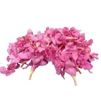 Natural Arali Flowers Arali-Flowers-10-3905268-94584.webp