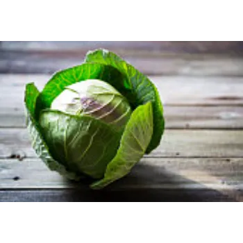Cabbage-01-3253648-49809.webp