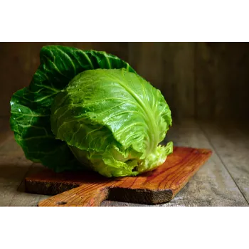 Cabbage-02-8039794-20418.webp