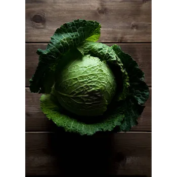 Cabbage-03-5234090-37584.webp