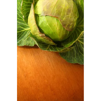 Cabbage-04-3070136-87656.webp