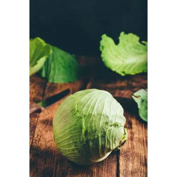 Cabbage-05-4179821-26483.webp