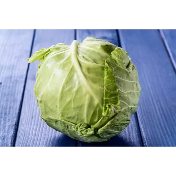 Cabbage-07-7524608-28436.webp