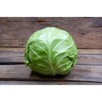 Cabbage-08-3719749-66697.webp