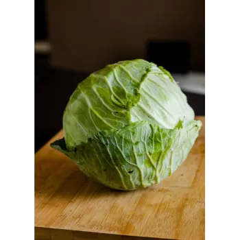 Cabbage-09-3037420-26681.webp