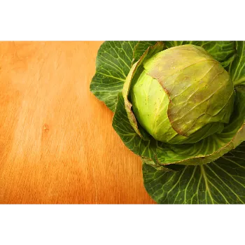 Cabbage-10-1160857-40210.webp