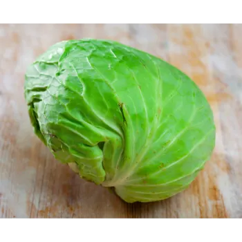 Cabbage-11-7813612-11840.webp