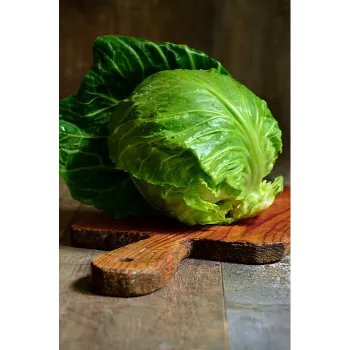 Cabbage-13-1420933-84541.webp