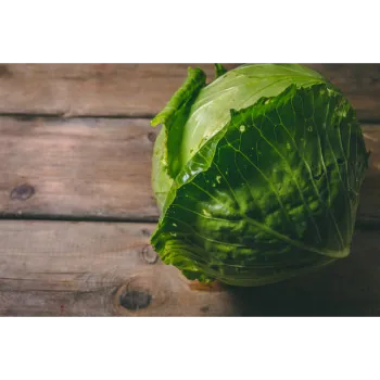 Cabbage-14-3390871-64385.webp