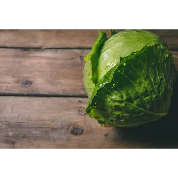 Cabbage-21-5178105-27074.webp
