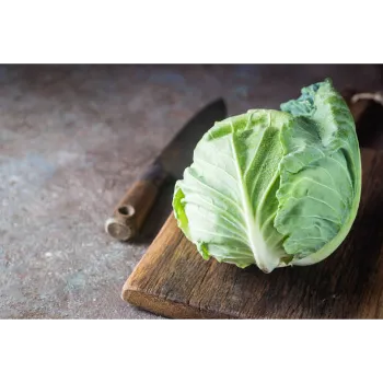 Cabbage-22-1217704-98312.webp