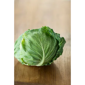 Cabbage-24-5593466-77202.webp