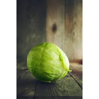 Cabbage-25-4881812-60520.webp