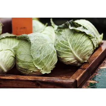 Cabbage-27-8715173-70408.webp