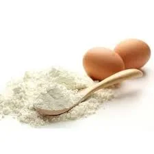 Egg-Albumen-Powder01-5861443-13188.webp