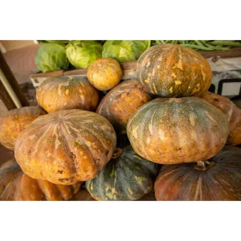 Fresh-Pumpkin-10-267079-63181.webp