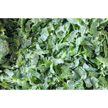 Organic Fresh Frozen Spinach Frozen-Spinach-08-9241032-52927.webp
