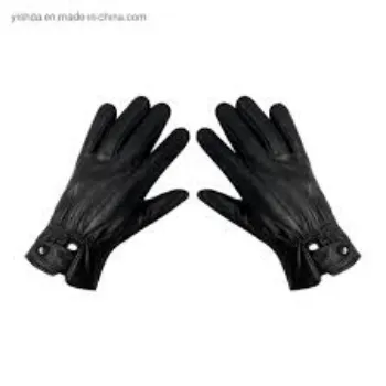 Gloves001-2324646-46135.webp