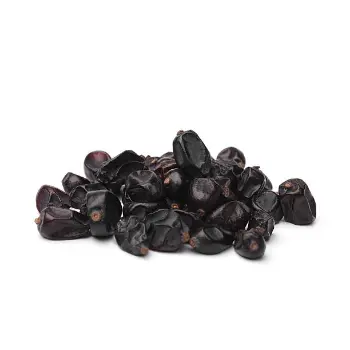 Common Juniper Berries Juniper-Berries-12-8798998-87038.webp