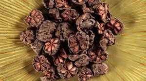 Common Kokum Kokum6-6419734-4258.jpg