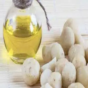 Nut-Oil4-1185376-5901.webp
