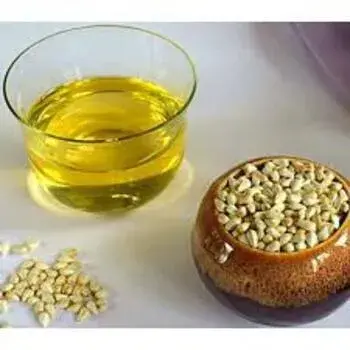 Nut-Oil5-5153572-31311.webp