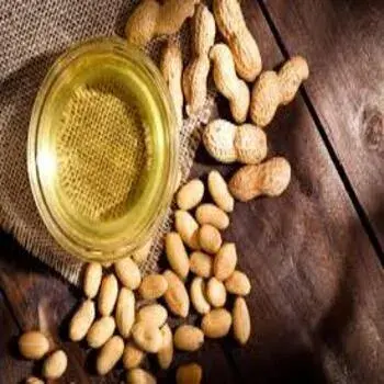 Nut-Oil6-7894920-74245.webp