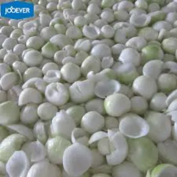 Organic Fresh Frozen Onion Onion5-4536009-91956.webp