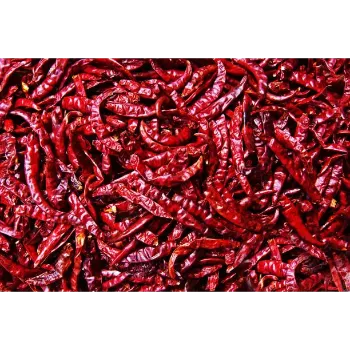 Red-Chilli-03-4927430-23091.webp