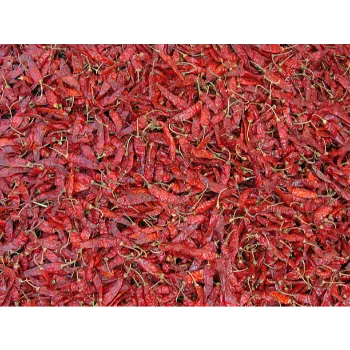 Red-Chilli-05-5230365-90609.webp