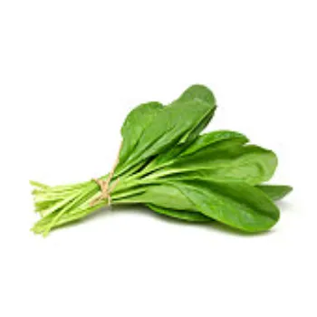 Spinach-01-7594670-55184.webp