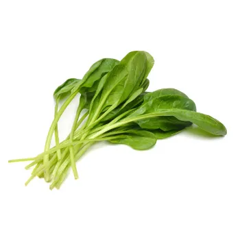Spinach-02-801916-34390.webp
