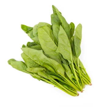 Spinach-03-1092152-47297.webp