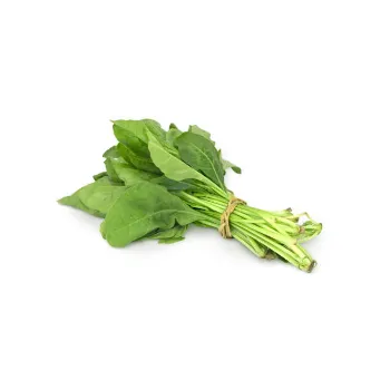Spinach-05-6955657-8843.webp