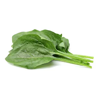 Spinach-06-2440681-40919.webp