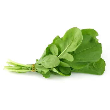 Spinach-07-1488579-69671.webp