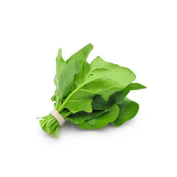 Spinach-08-9608533-72331.webp