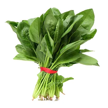 Spinach-09-2842238-64747.webp