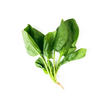 Spinach-13-637082-3428.webp