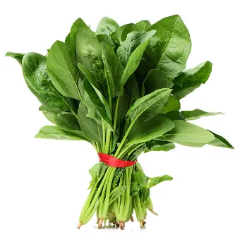 Spinach-14-3218728-46718.webp