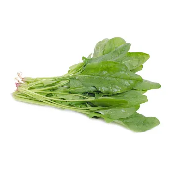 Spinach-16-1391114-1109.webp